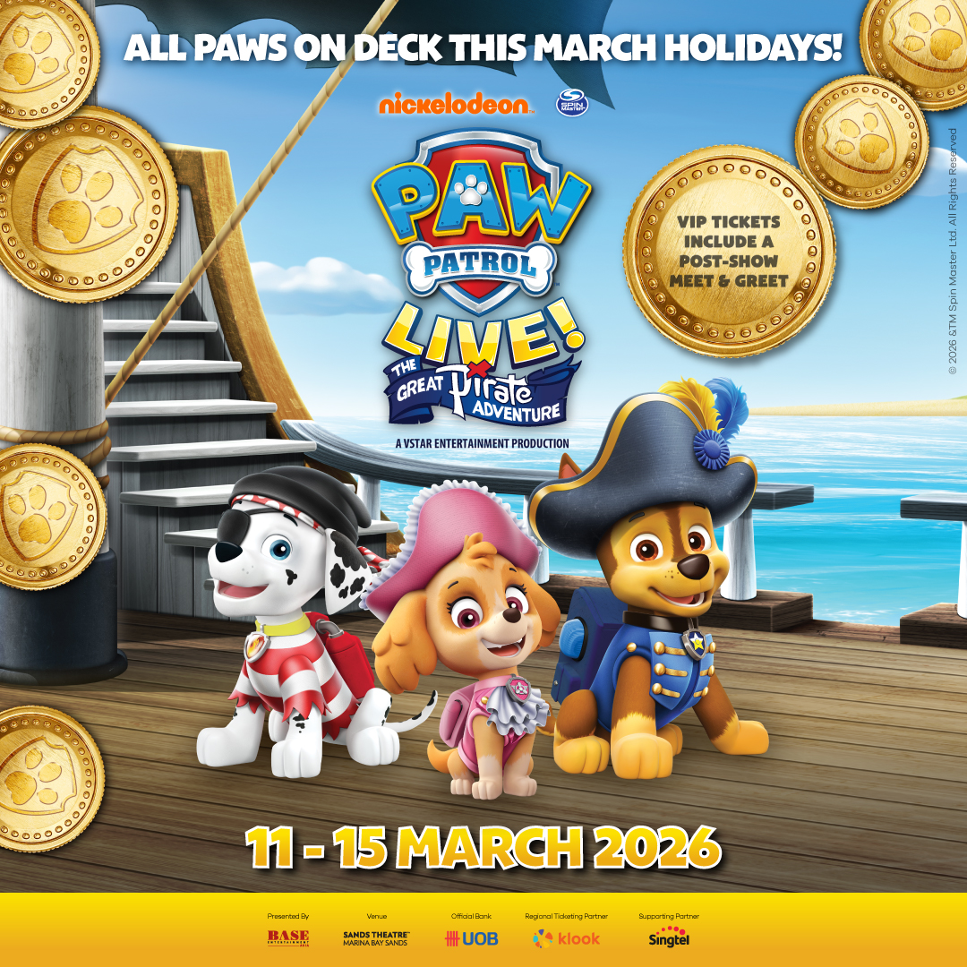 20% OFF PAW Patrol Live! The Great Pirate Adventure